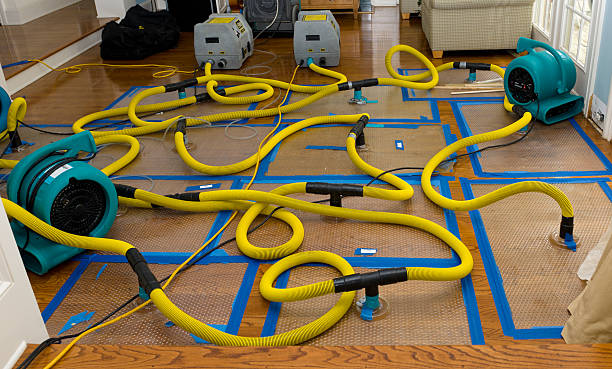 Professional Water Damage Repair technician working in Woodruff, AZ